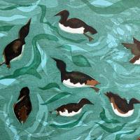 painting of guillemots