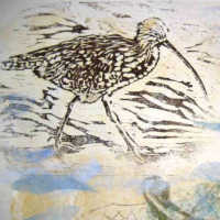 art print of curlew