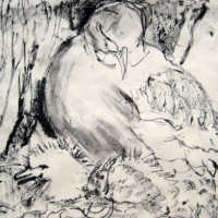 drawing of a kittiwake 2