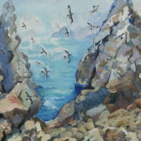 painting of cape petrels